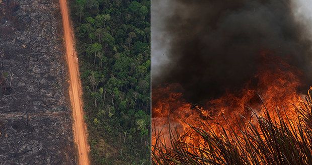 Hořící Amazonie bude mít děsivý dopad a naruší i potravní řetězec, varují ekologové