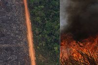 Hořící Amazonie bude mít děsivý dopad a naruší i potravní řetězec, varují ekologové