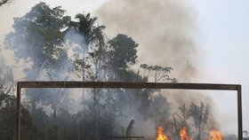 Požáry dál ničí Amazonii, dopad budou mít na tamní faunu a flóru. (29. 8. 2019)