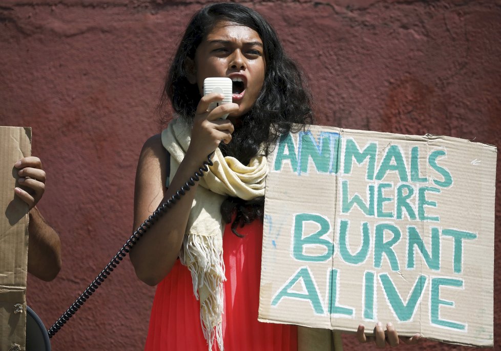 V Brazílii probíhají protesty, demonstranti požadují okamžitou akci na záchranu deštných pralesů. Aktivistka s transparentem: Zvířata hoří zaživa.