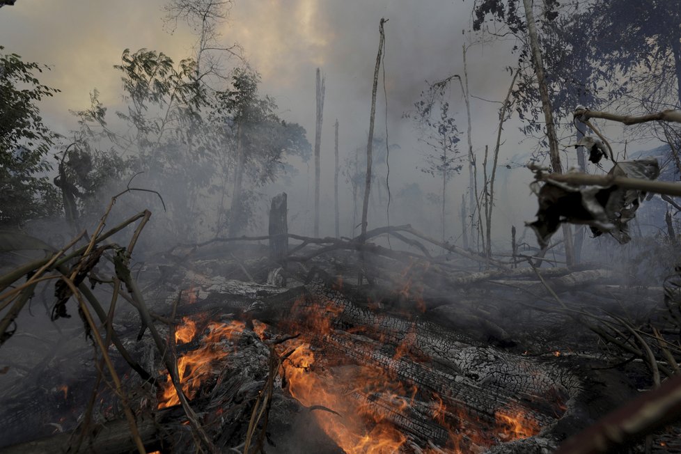 Rozsáhlé požáry v Amazonii.