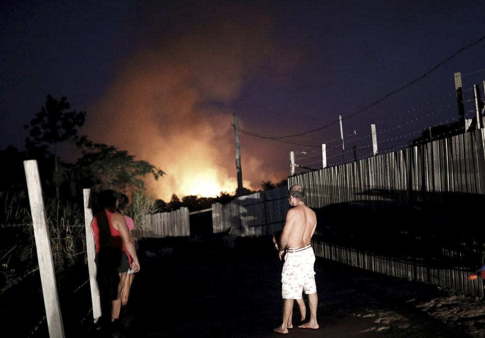 Požáry dál ničí Amazonii, dopad budou mít na tamní faunu a flóru. (29. 8. 2019)