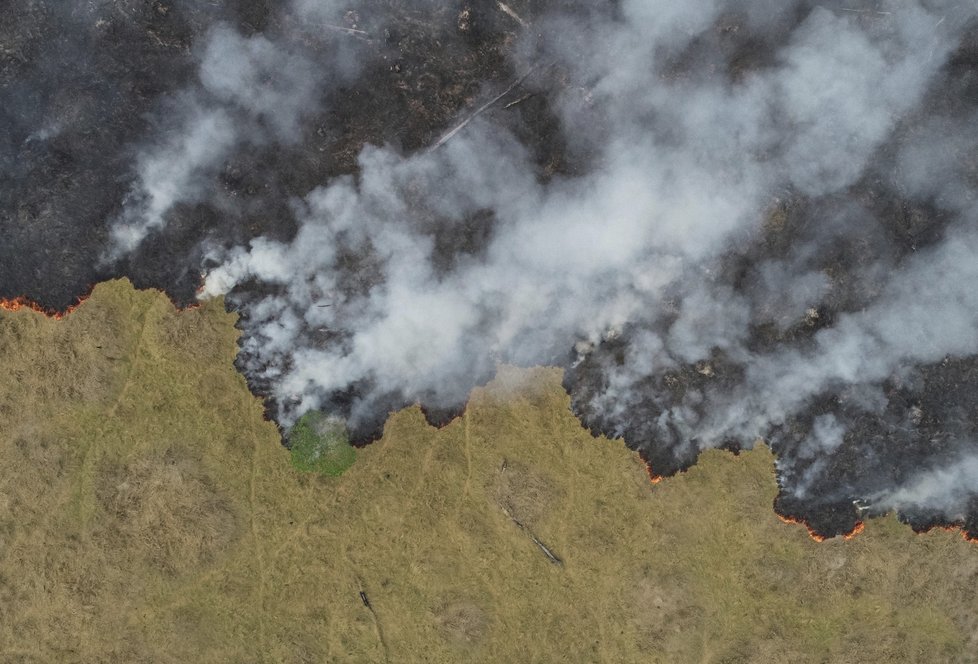 Požáry dál ničí Amazonii, dopad budou mít na tamní faunu a flóru. (29. 8. 2019)