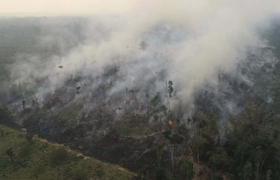 Požáry dál ničí Amazonii, dopad budou mít na tamní faunu a floru, (29.08.2019).