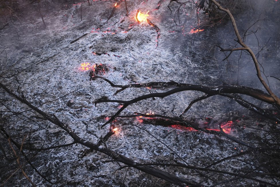 Požáry dál ničí Amazonii, dopad budou mít na tamní faunu a floru, (29.08.2019).