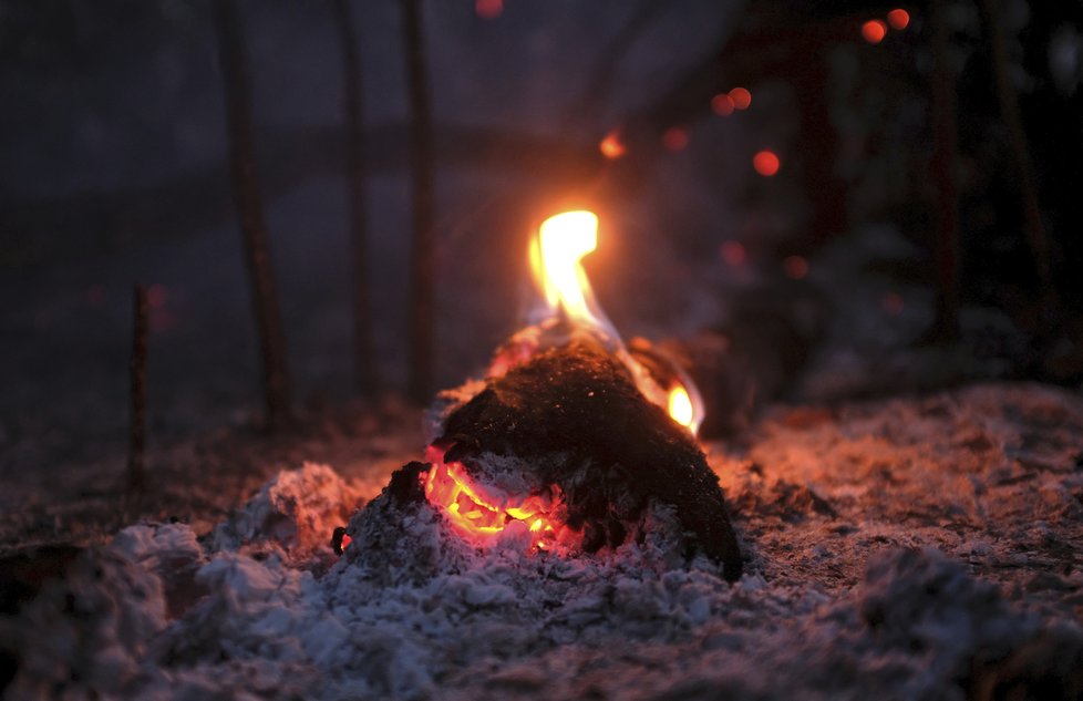 Požáry dál ničí Amazonii, dopad budou mít na tamní faunu a floru, (29.08.2019).