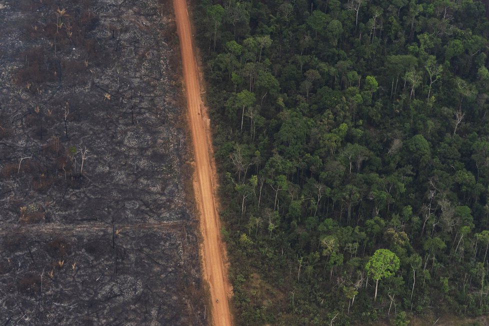 Požáry dál ničí Amazonii, dopad budou mít na tamní faunu a flóru. (29. 8. 2019)