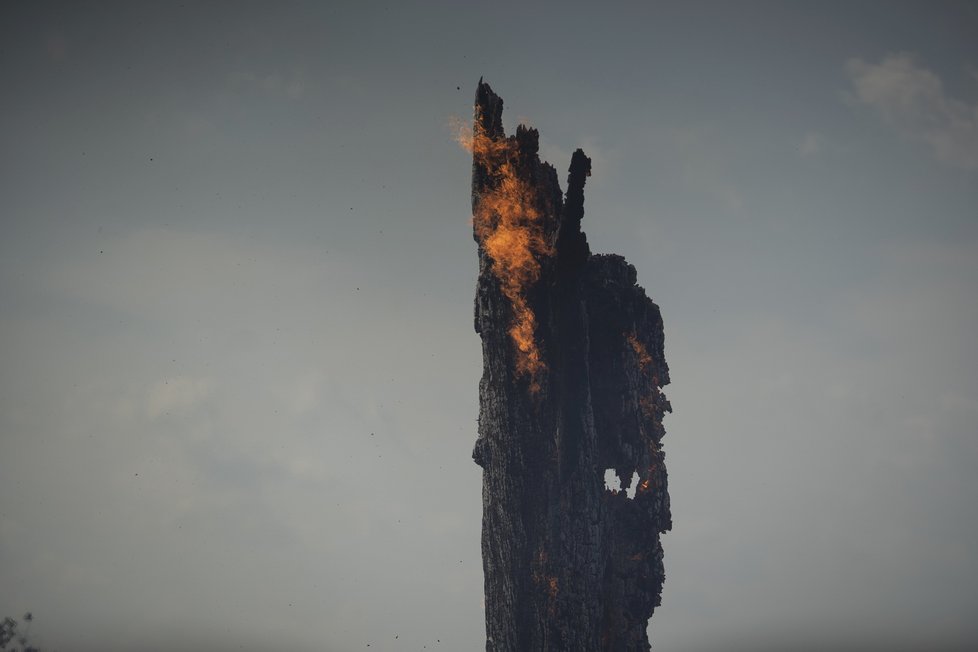 Požáry dál ničí Amazonii, dopad budou mít na tamní faunu a flóru. (29. 8. 2019)