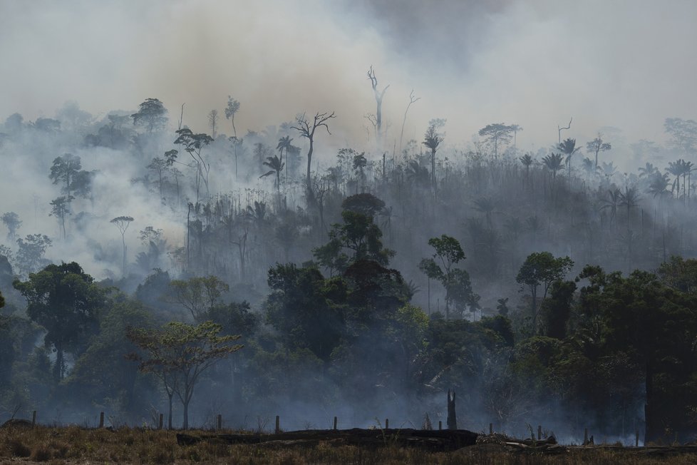 Požáry dál ničí Amazonii, dopad budou mít na tamní faunu a flóru. (29. 8. 2019)