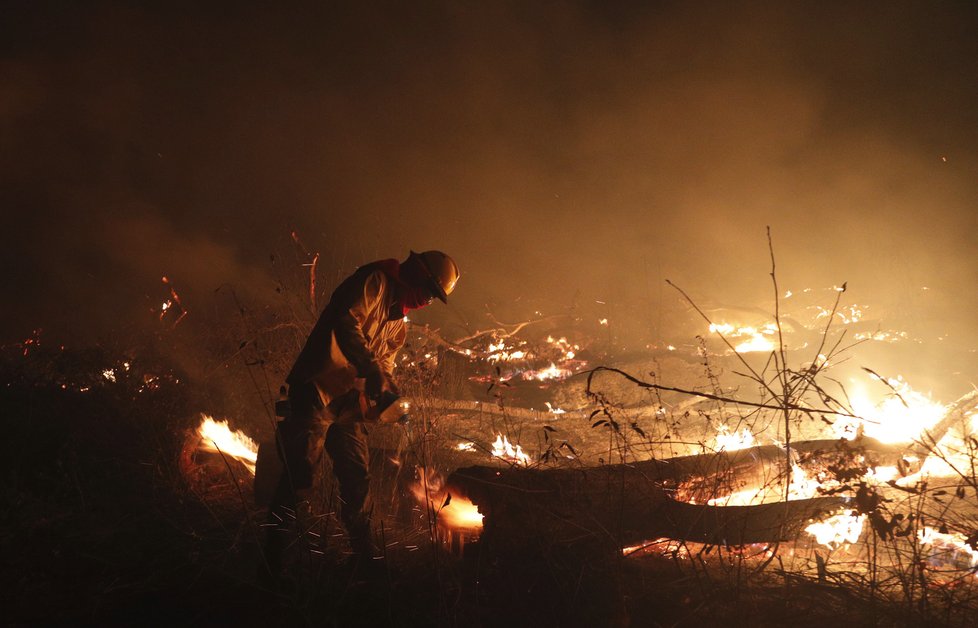 Požáry dál ničí Amazonii, dopad budou mít na tamní faunu a flóru. (29. 8. 2019)