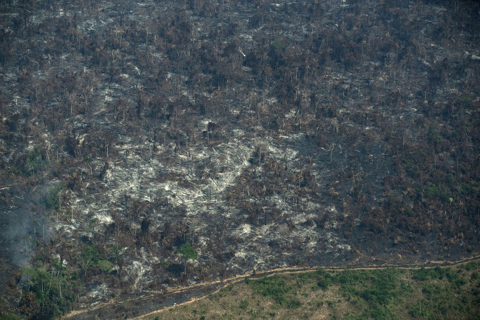 Požáry dál ničí Amazonii, dopad budou mít na tamní faunu a flóru. (29. 8. 2019)