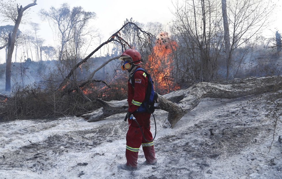 Požáry dál ničí Amazonii, dopad budou mít na tamní faunu a flóru. (29. 8. 2019)