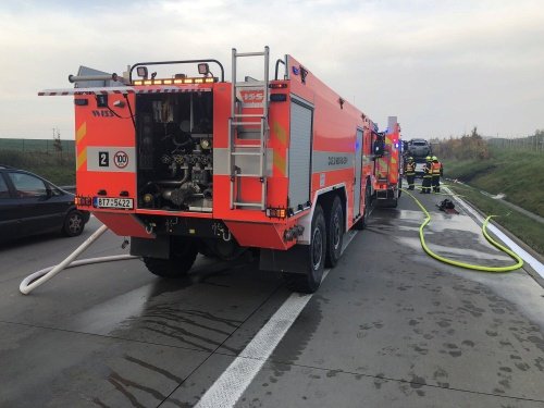 Ranní požár na D1 u Velkých Albrechtic zaměstnal hasiče a zastavil dopravu na půl hodiny.