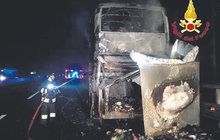 Hororová cesta k moři: Hořel autobus s 54 Čechy