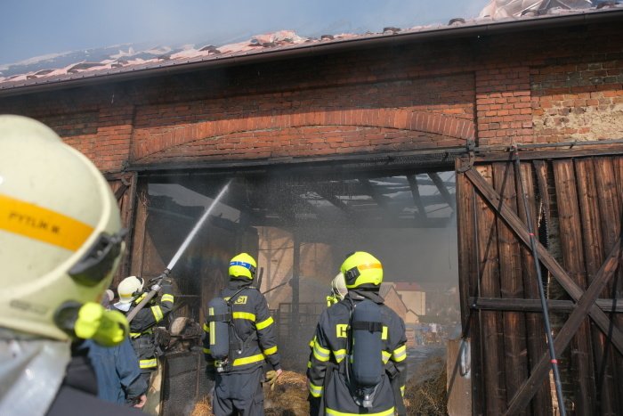 Zásah hasičů při požáru stodoly v Bolaticích. Zahynulo všech 13 býků.