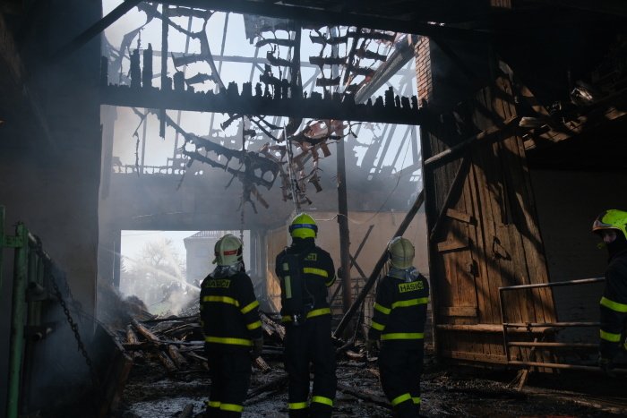 Zásah hasičů při požáru stodoly v Bolaticích. Zahynulo všech 13 býků.