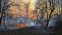 Požár se šíří okolo vesnice Volodymyrivka , která se nachází v oblasti nedaleko atomové elektrárny Černobyl