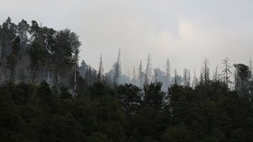 Požár v Českém Švýcarsku. (26.7.2022)