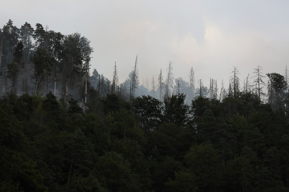 Požár v Českém Švýcarsku. (26.7.2022)