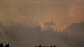 Požár v Českém Švýcarsku poblíž obce Mezná. (26.7.2022)