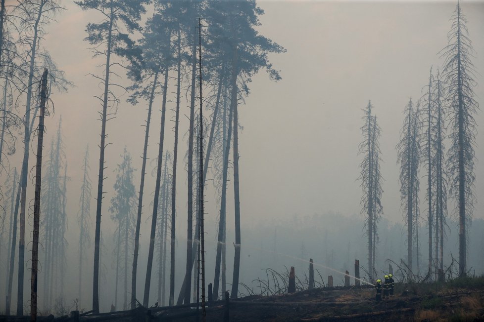 Požár v Českém Švýcarsku poblíž obce Mezná (26.7.2022)