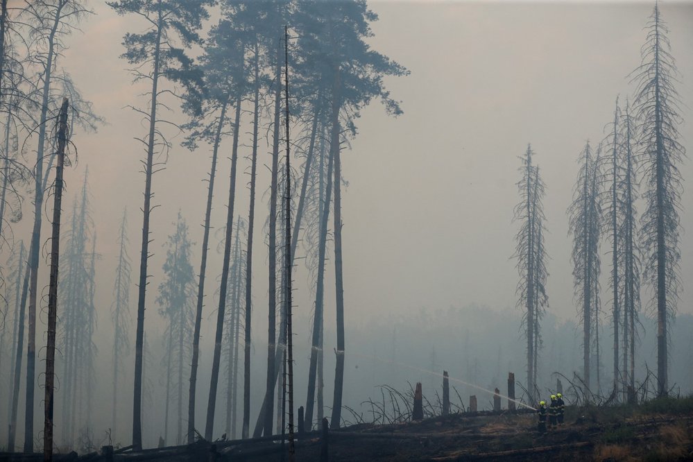 Požár v Českém Švýcarsku poblíž obce Mezná. (26.7.2022)