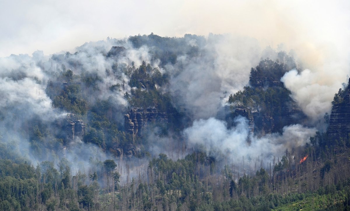 Hoří i na německé straně národního parku v Saském Švýcarsku. Hasiči zasahují nedaleko Kleine Winterberg nedaleko hranic s Českem. (26.7.2022)