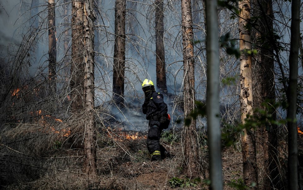 Požár v Českém Švýcarsku. (26.7.2022)