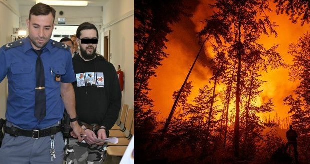 Chápe vůbec, o co jde? Obžalovaný z požáru Českého Švýcarska skončil na psychiatrii