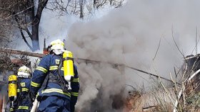 Hasiči opět zasahují u lesního požáru u Oslavan. Ilustrační foto