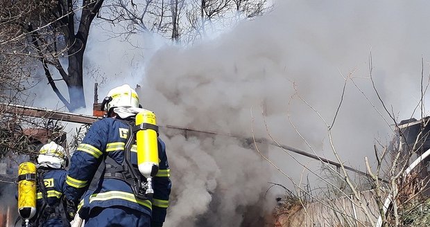 Hasiči opět zasahují u lesního požáru u Oslavan. Ilustrační foto