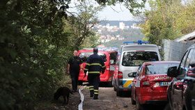 Hrůzný nález v hořící chatce na Žižkově: Uvnitř objevili torzo lidského těla! 