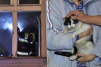 Požár v Dejvicích: Hasiči z hořícího bytu zachránili muže a kotě