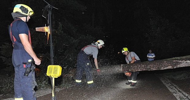 Kvůli bouřce a dešťům ze soboty na neděli vyjížděli pražští hasiči celkem k 11 případům. Často se jednalo o pokácené stromy.