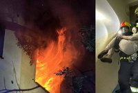 17 lidí i polomrtvá kočka: Hasiči je zachránili z hořícího paneláku ve Frýdku-Místku