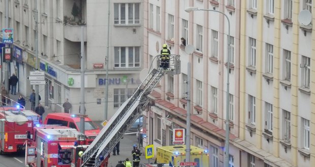 Požár bytu na Žižkově: Hasiči evakuovali obyvatele domu, kočky, psy a potkana