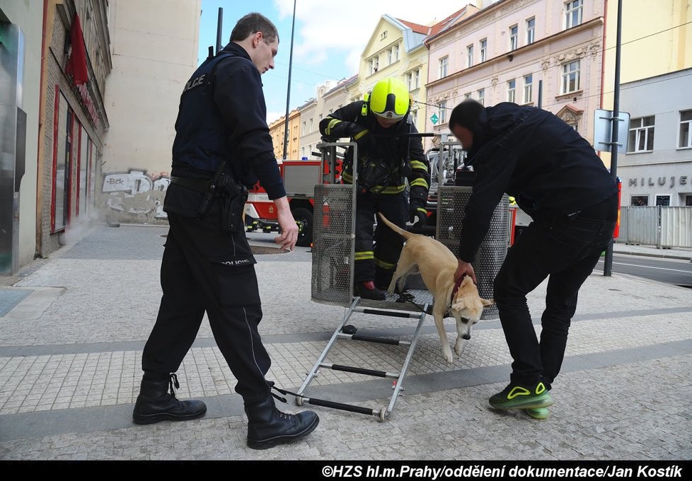 V Nuselské ulici hořel suterén obytného domu.