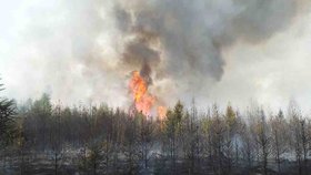 Hasičí bojují v okolí Újezdu u Rosic s obrovským požárem lesa.