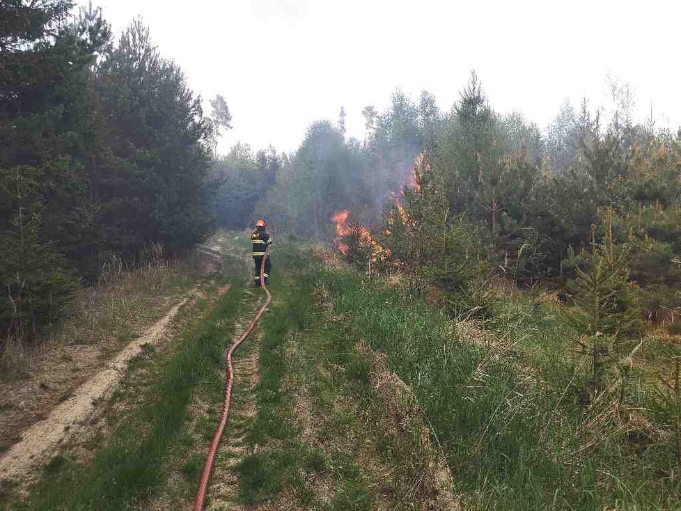 Hasičí bojují v okolí Újezdu u Rosic s obrovským požárem lesa.