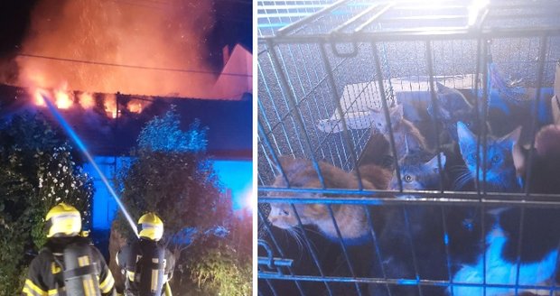 O střechu nad hlavou přišli kvůli požáru z úterý na středu starší žena, muž středního věku a větší množství koček ve Velkých Pavlovicích na Břeclavsku.