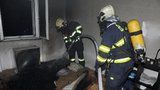 V hořícím bytě na Žižkově uvízly dvě kočky: Z plamenů je vysvobodili hasiči