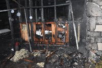 Tragická štědrovečerní noc v Brně: V chatce na okraji města uhořel muž (72)
