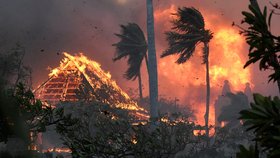 Lesní požáry na Havaji (10.8.2023)