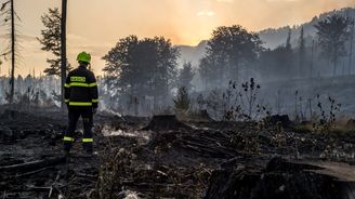 Hasiči zastavili postup požáru v Českém Švýcarsku, ze Švédska přiletí letadla Air Tractor