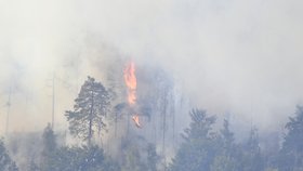 Hašení požáru v NP České Švýcarsko