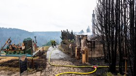 Požár v Národním parku České Švýcarsko (26. 7. 2022)