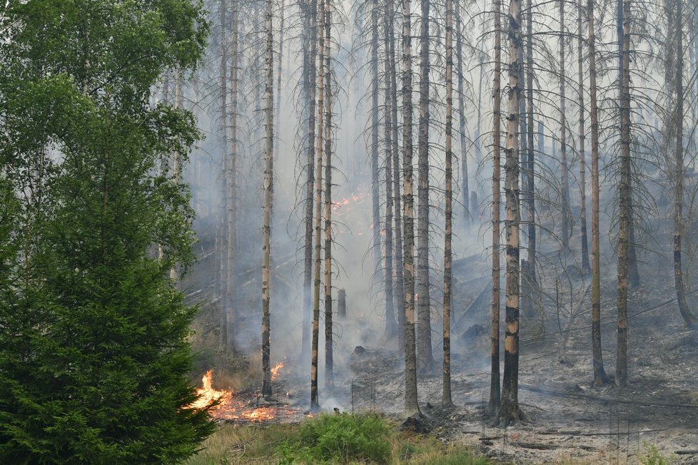 Požár v Národním parku České Švýcarsko u Hřenska (26. 7. 2022)