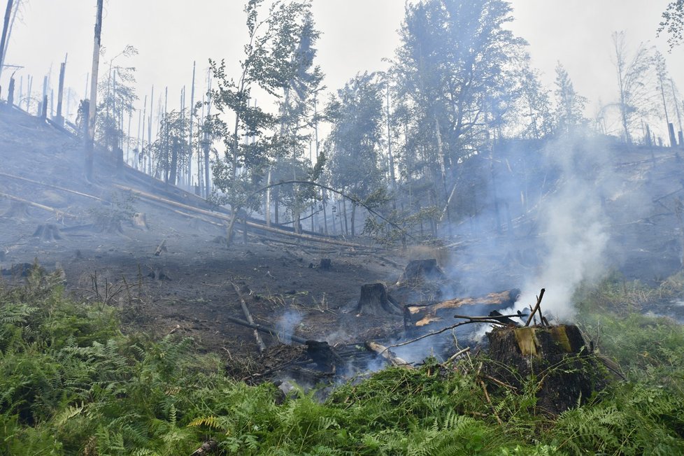 Požár v Národním parku České Švýcarsko u Hřenska (26. 7. 2022)