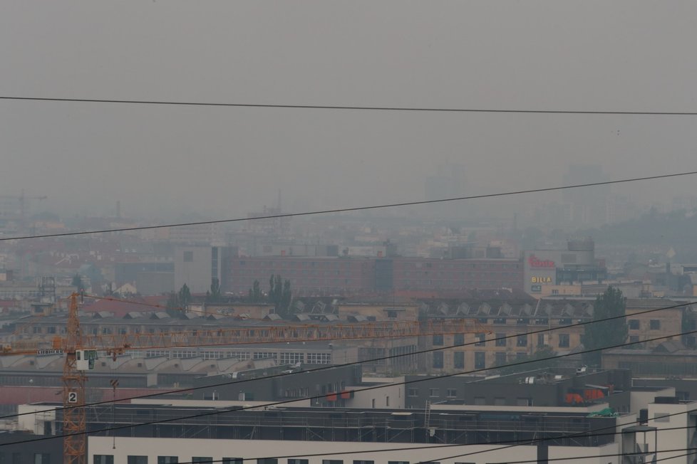 Na zápach spáleniny a kouř z Hřenska si stěžují i lidé v Praze.