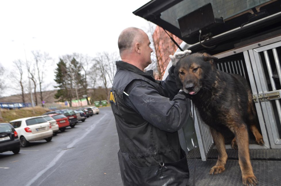 Policejní psovod Jiří Hromada se psem Xarem